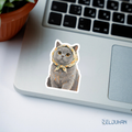 A cat V2 sticker