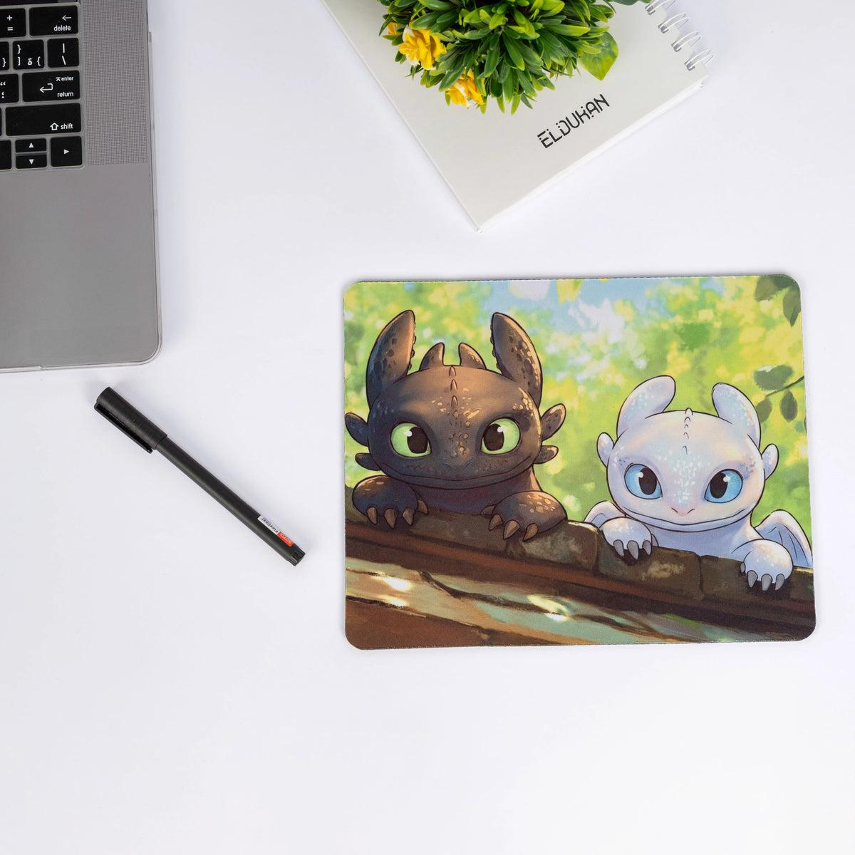 How to train your dragon mouse pad