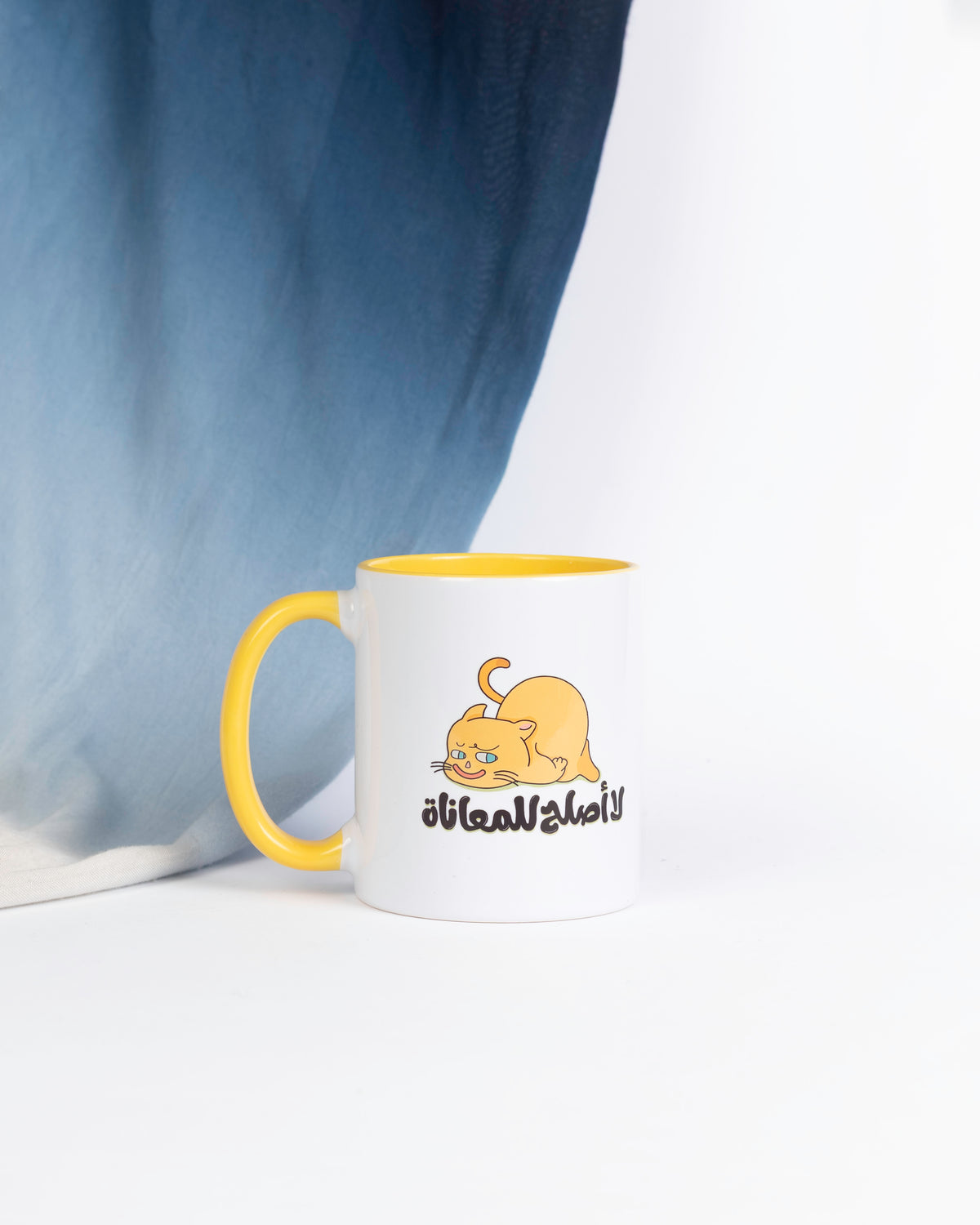 لا اصلح للمعاناه mug