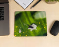 animals in the garden mouse pad