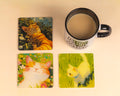 Cats Coasters bundle