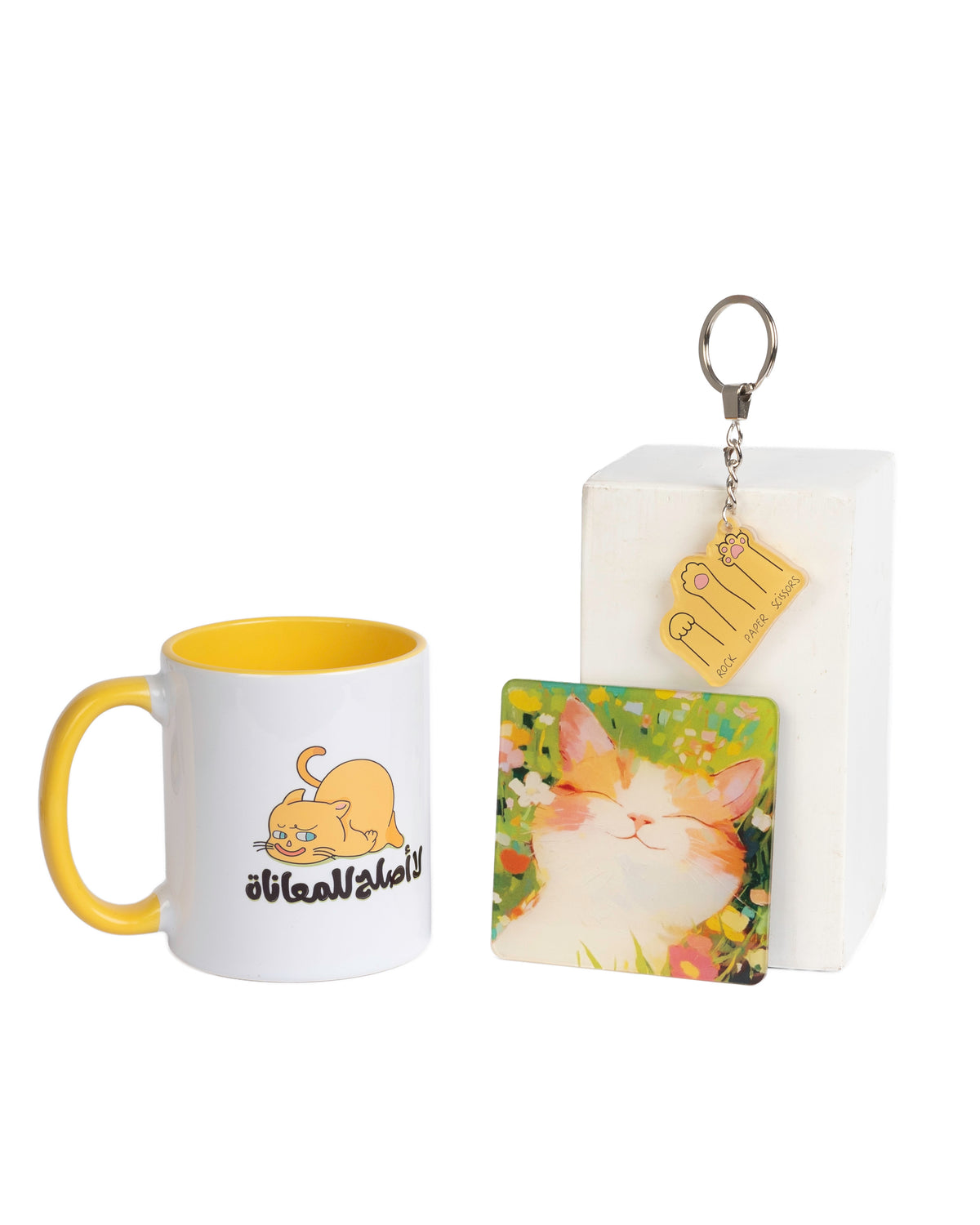 Cats 1st bundle